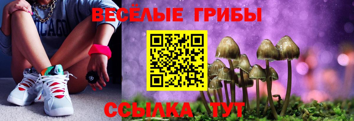 Псилоцибиновые грибы Cubensis  Вход с VPN  как найти   Псилоцибиновые грибы Psilocybe  Горячий Ключ 